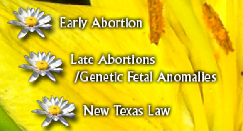 Foto Texas Ambulatory Surgical Center de Clínicas de Aborto en Houston TX - Galería de ListasLocales.com
