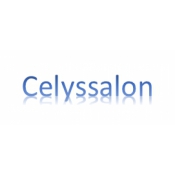 Celyssalon Logo