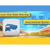 The Miami Movers Logo