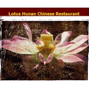 Lotus Hunan Chinese Restaurant Logo