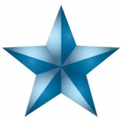 Dallas County Schools Logo