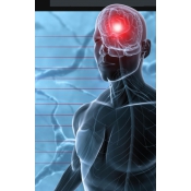 Texas Neurology Logo
