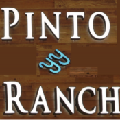 Pinto Ranch Houston Logo