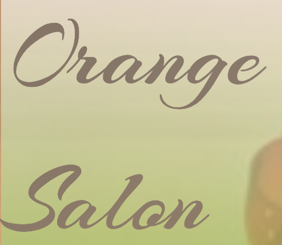 The Orange Salon Logo