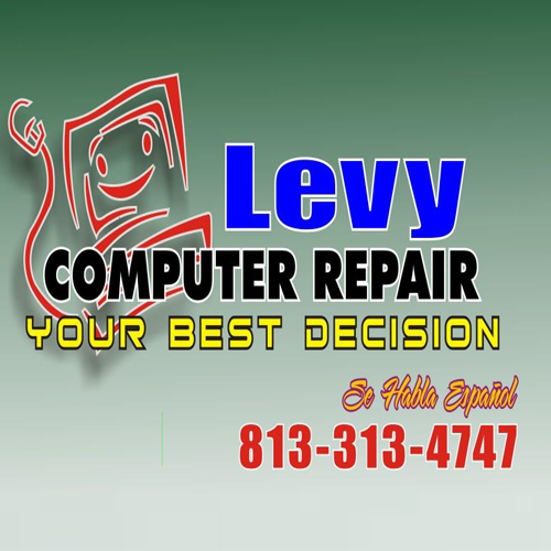 Levy Computer Repair LLC Logo