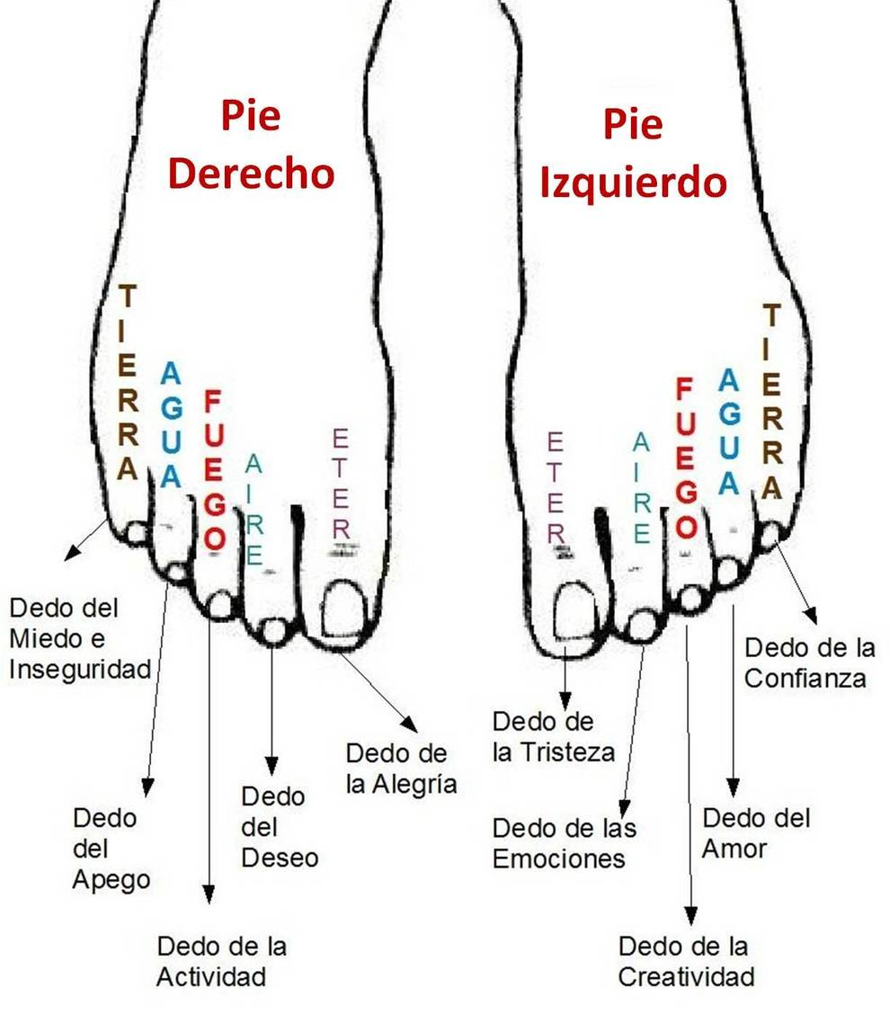 Mira Como La Forma Y El Largo De Los Dedos De Tus Pies Definen Tu